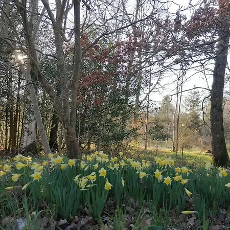 Dans Les Bois En Normandie Casa vacanze