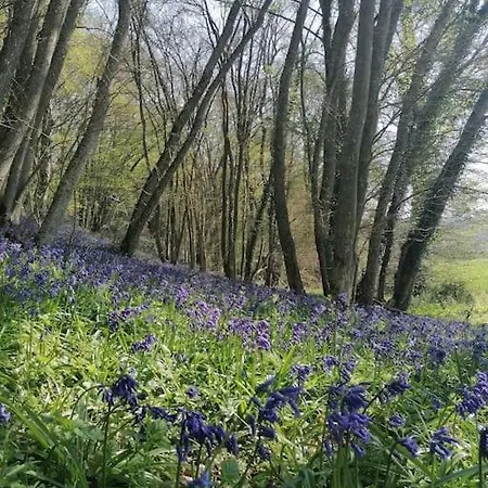 Casa vacanze Dans Les Bois En Normandie La Houssaye (Eure)