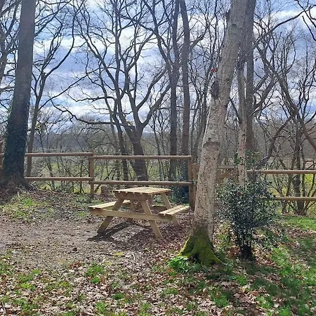 Dans Les Bois En Normandie *