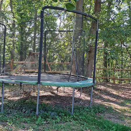 Dans Les Bois En Normandie *