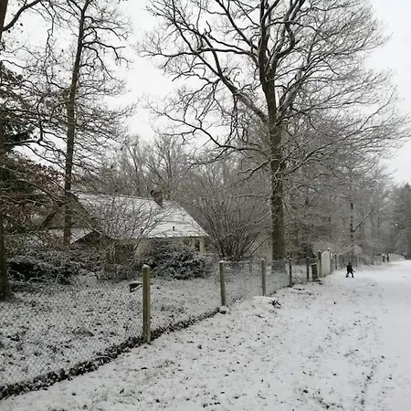 Dans Les Bois En Normandie Casa vacanze