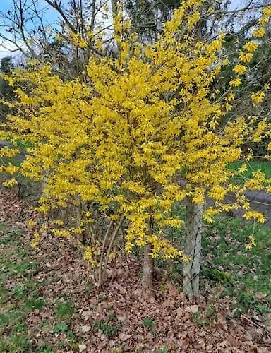 Holiday home Dans Les Bois En Normandie
