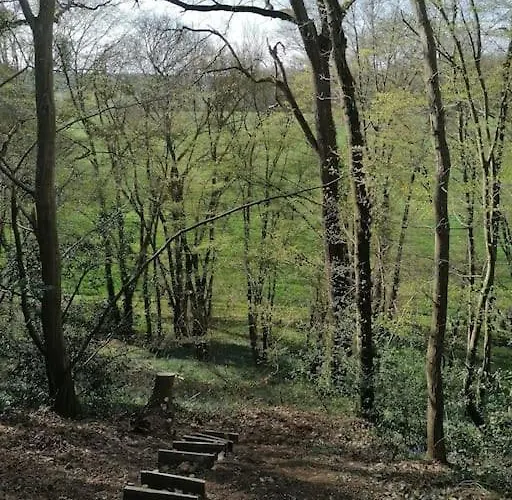 Dans Les Bois En Normandie Holiday home *