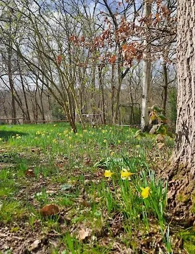 Dans Les Bois En Normandie * La Houssaye (Eure)