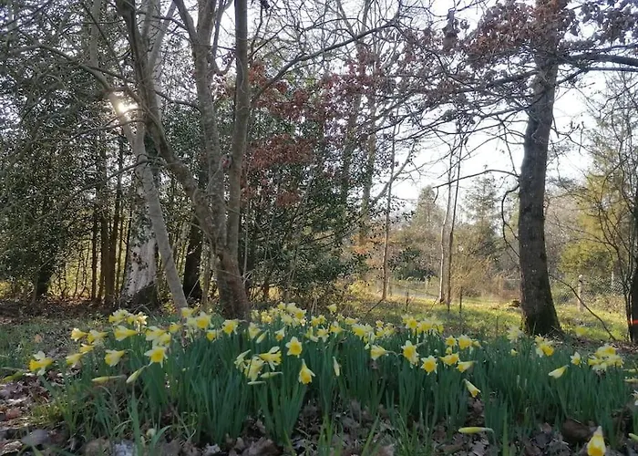 Dans Les Bois En Normandie Holiday home