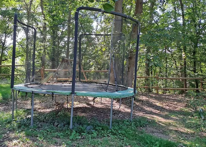 Dans Les Bois En Normandie *