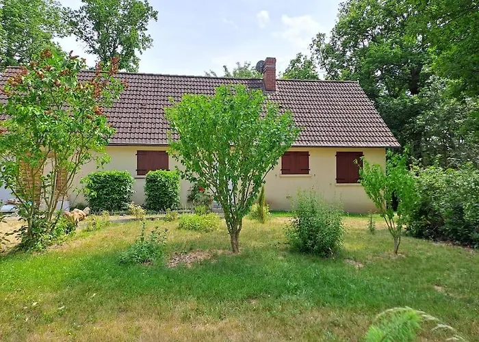 Dans Les Bois En Normandie *