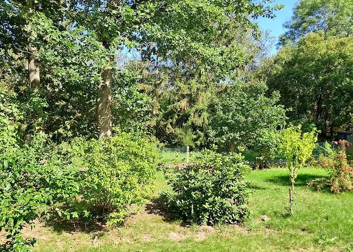 Dans Les Bois En Normandie *